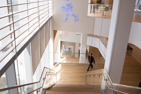 Структура компании