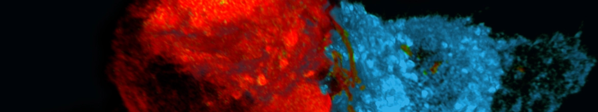 Генная терапия