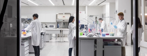 Ученые в лаборатории